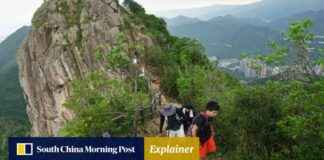 Survival Tips in Hong Kong’s Urban Jungle: A Guide by The Post news-14082024-182457