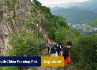Survival Tips in Hong Kong’s Urban Jungle: A Guide by The Post news-14082024-182457