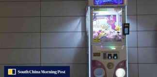 The Rise of Soft Toy Claw Machines in Brazil: A Growing Public Concern news-30082024-114808