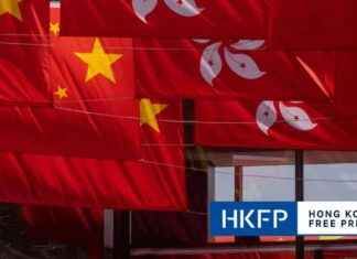 Arrested Hong Kong Man Damages China’s National Day Decorations news-01102024-014346