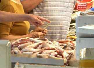 Warning on Freshwater Fish as Infection Deaths Spark Concern – RTHK news-14092024-190341