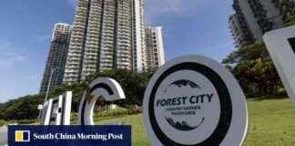 Boosting Johor’s Economy: Impact of China-Backed Forest City Special Financial Zone news-16092024-113513