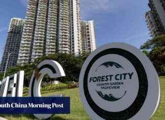 Boosting Johor’s Economy: Impact of China-Backed Forest City Special Financial Zone news-16092024-113513