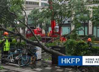 Typhoon Bebinca Shuts Down Shanghai: Strongest Storm Since 1949 news-16092024-234756