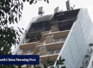 Woman Arrested for Alleged Neglect in Hong Kong Fire Incident news-21092024-113524