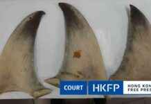 Traveller Jailed for Illegal Import of Endangered Shark Fins in Hong Kong news-23092024-155413