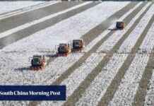 Investigation into Calvin Klein and Tommy Hilfiger Parent Company in China for Xinjiang Cotton Allegations news-24092024-115906