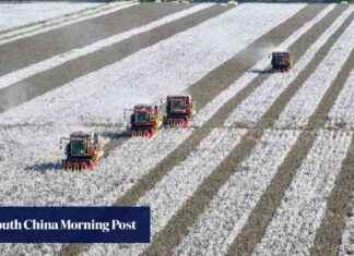 Investigation into Calvin Klein and Tommy Hilfiger Parent Company in China for Xinjiang Cotton Allegations news-24092024-115906