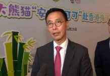 Panda Gift Brings Joy to Hong Kong: Interview with Kevin Yeung news-25092024-124434
