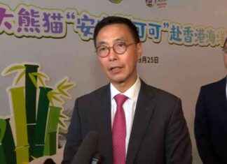 Panda Gift Brings Joy to Hong Kong: Interview with Kevin Yeung news-25092024-124434