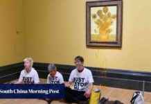 Climate activists protest sentencing by splashing soup on Van Goghs news-27092024-210528