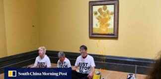 Climate activists protest sentencing by splashing soup on Van Goghs news-27092024-210528