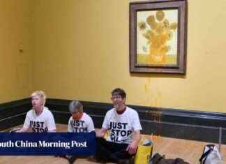 Climate activists protest sentencing by splashing soup on Van Goghs news-27092024-210528