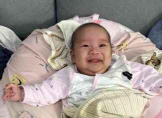 Urgent Heart Transplant Needed for Three-Month-Old Girl news-12102024-192046
