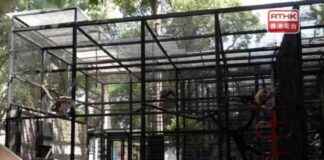 Melioidosis Linked to Monkey Deaths: Official Statement news-18102024-210432