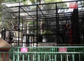 Melioidosis Linked to Monkey Deaths: Official Statement news-18102024-210432