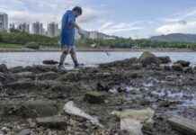 Plastic Pollution Crisis: 97% of Hong Kong’s Riverbank Waste is Plastic news-20102024-031007