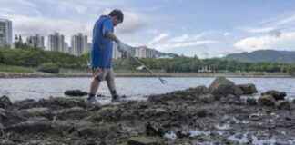 Plastic Pollution Crisis: 97% of Hong Kong’s Riverbank Waste is Plastic news-20102024-031007