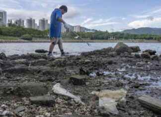 Plastic Pollution Crisis: 97% of Hong Kong’s Riverbank Waste is Plastic news-20102024-031007