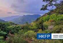 Watch Out for Suspected Poaching Activities While Hiking in Hong Kong’s Country Parks – Stay Alert and Report! news-22102024-152933