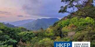 Watch Out for Suspected Poaching Activities While Hiking in Hong Kong’s Country Parks – Stay Alert and Report! news-22102024-152933