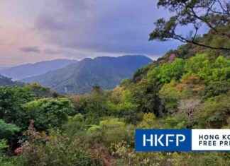 Watch Out for Suspected Poaching Activities While Hiking in Hong Kong’s Country Parks – Stay Alert and Report! news-22102024-152933