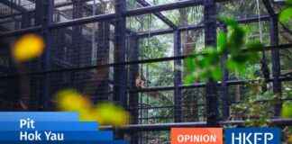 End Zoos Worldwide: The Root Cause of Hong Kong’s Monkey Deaths news-27102024-102505