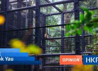 End Zoos Worldwide: The Root Cause of Hong Kong’s Monkey Deaths news-27102024-102505