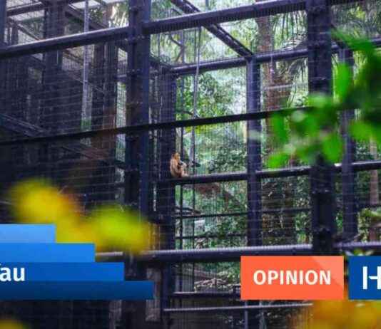 End Zoos Worldwide: The Root Cause of Hong Kong’s Monkey Deaths news-27102024-102505