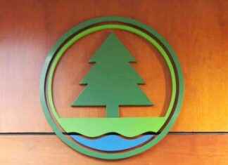 Stranded Whale Dies Near Tai O: AFCD – RTHK – Update on Marine Conservation Efforts in Hong Kong news-01122024-004429