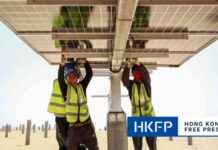 China’s Expectation of ‘Consistent’ US Climate Policy Beyond Election Outcome news-02112024-063213