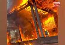 Man Arrested for Suspected Arson in Tsuen Wan: Latest Updates and News news-28112024-180715