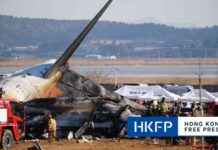 Jeju Air Plane Crash in South Korea: Key Facts and Updates jeju-air-plane-crash-in-south-korea-key-facts-and-updates