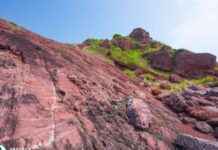 Port Island Reopens Following Dinosaur Fossil Excavation port-sland-reopens-following-dinosaur-fossil-excavation
