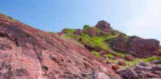 Port Island Reopens Following Dinosaur Fossil Excavation port-sland-reopens-following-dinosaur-fossil-excavation