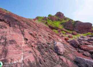 Port Island Reopens Following Dinosaur Fossil Excavation port-sland-reopens-following-dinosaur-fossil-excavation