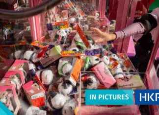 Boosting Spending in Hong Kong with Panda Economy: In Pictures boosting-spending-in-hong-kong-with-panda-economy-n-pictures