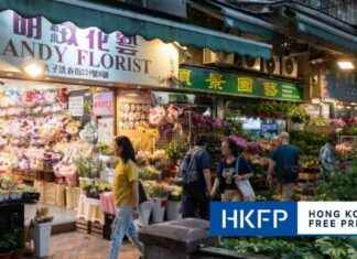 Hong Kong Flower Market Redevelopment Plan Faces 88% Opposition, Says Urban Planning Body hong-kong-flower-market-redevelopment-plan-faces-88-opposition-says-urban-planning-body