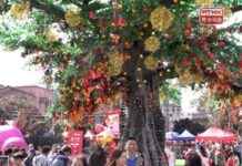 Lam Tsuen Wishing Tree: New Year Crowds Flock to Popular Attraction lam-tsuen-wishing-tree-new-year-crowds-flock-to-popular-attraction