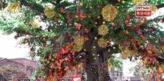 Lam Tsuen Wishing Tree: New Year Crowds Flock to Popular Attraction lam-tsuen-wishing-tree-new-year-crowds-flock-to-popular-attraction