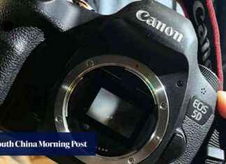 Hong Kong Woman Reports Camera Lens Theft at Raymond Lam Fung Concert hong-kong-woman-reports-camera-lens-theft-at-raymond-lam-fung-concert