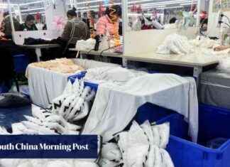 Japan Considers Taxing Imports from China’s Shein and Temu japan-considers-taxing-mports-from-chinas-shein-and-temu