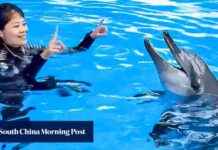 Rita the Indo-Pacific Bottlenose Dolphin Passes Away at Hong Kong’s Ocean Park rita-the-ndo-pacific-bottlenose-dolphin-passes-away-at-hong-kongs-ocean-park